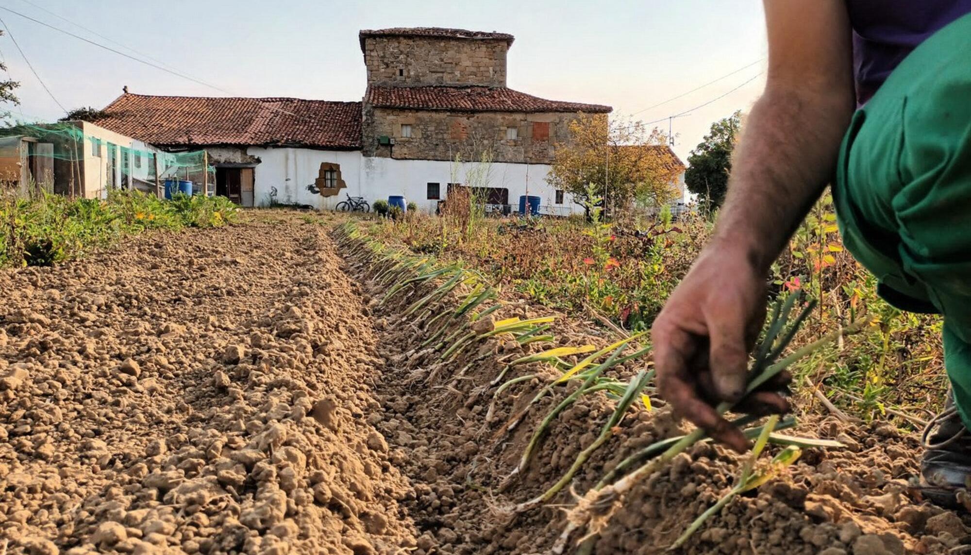 Otxantegi Herri Lurra, en Berango 2